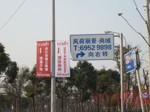 風(fēng)荷麗景 上海都市中的詩意棲居